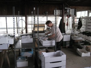 Torben Magnusson - IMG_1617
