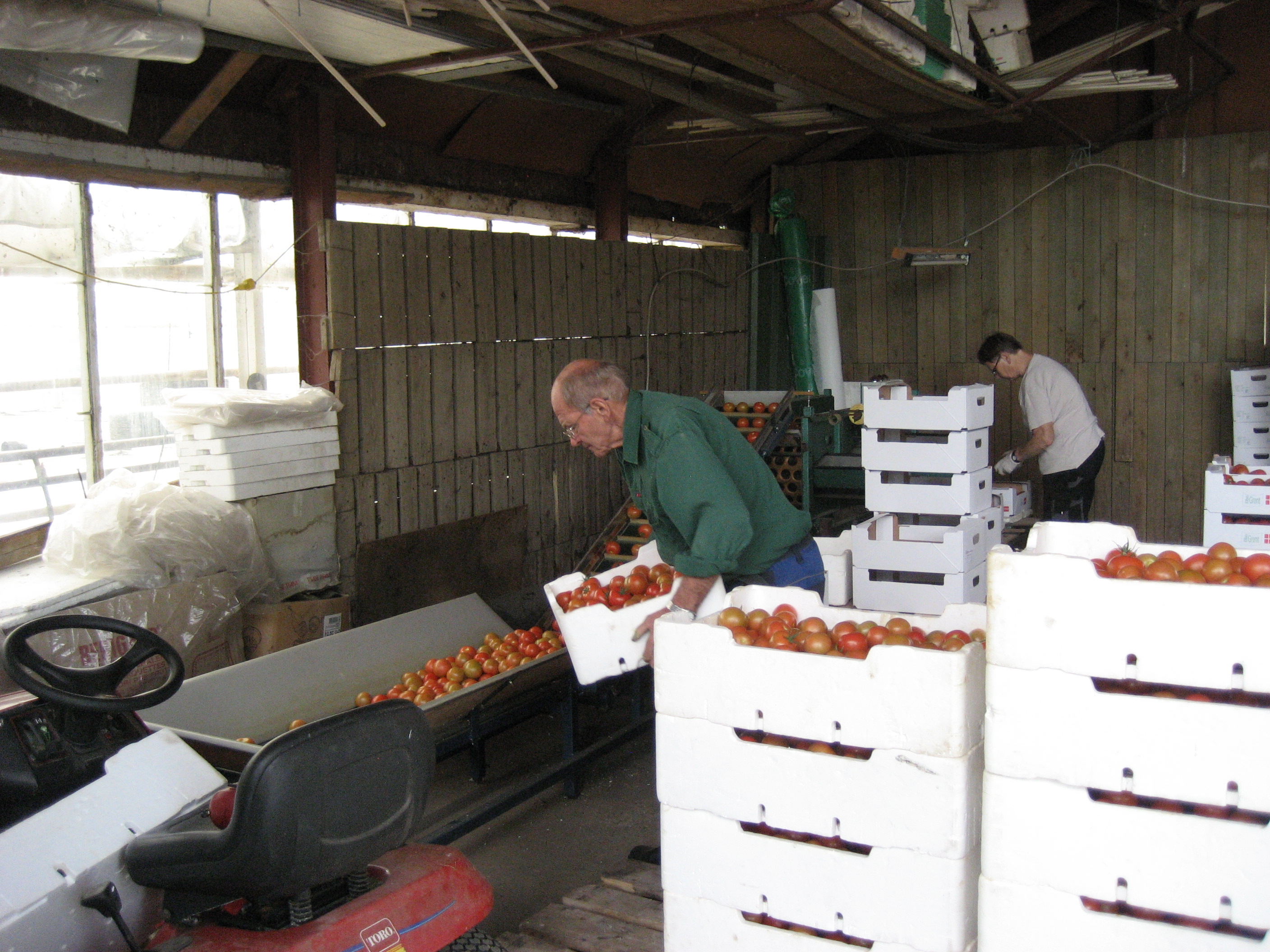 Sortering